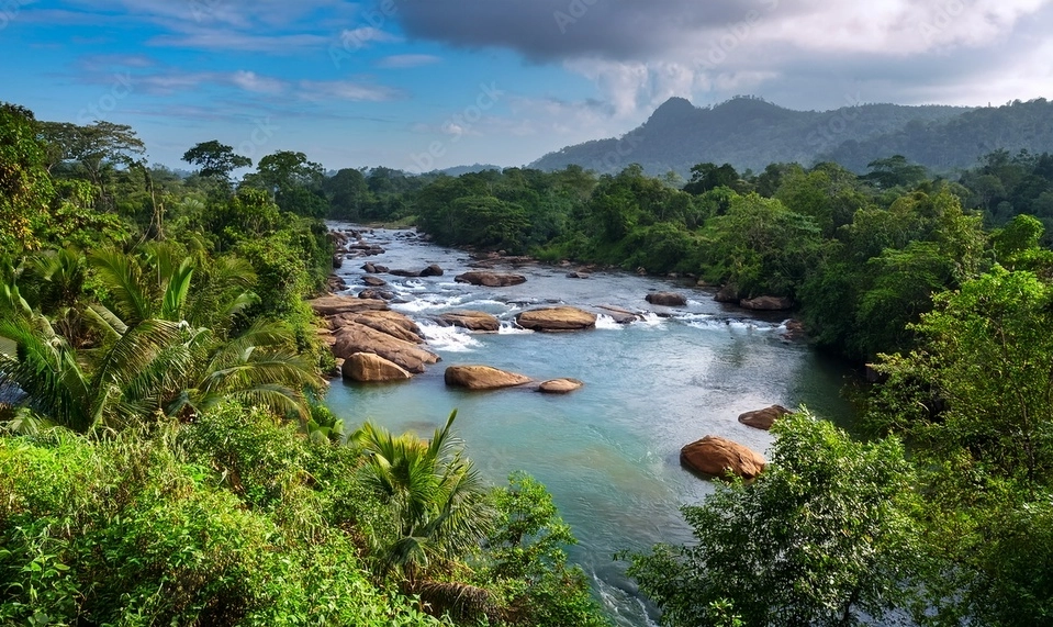 Bentota