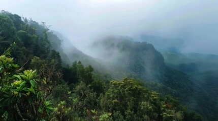 Horton Plains