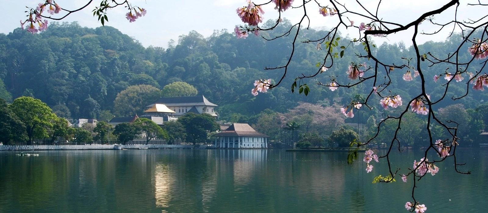 Kandy